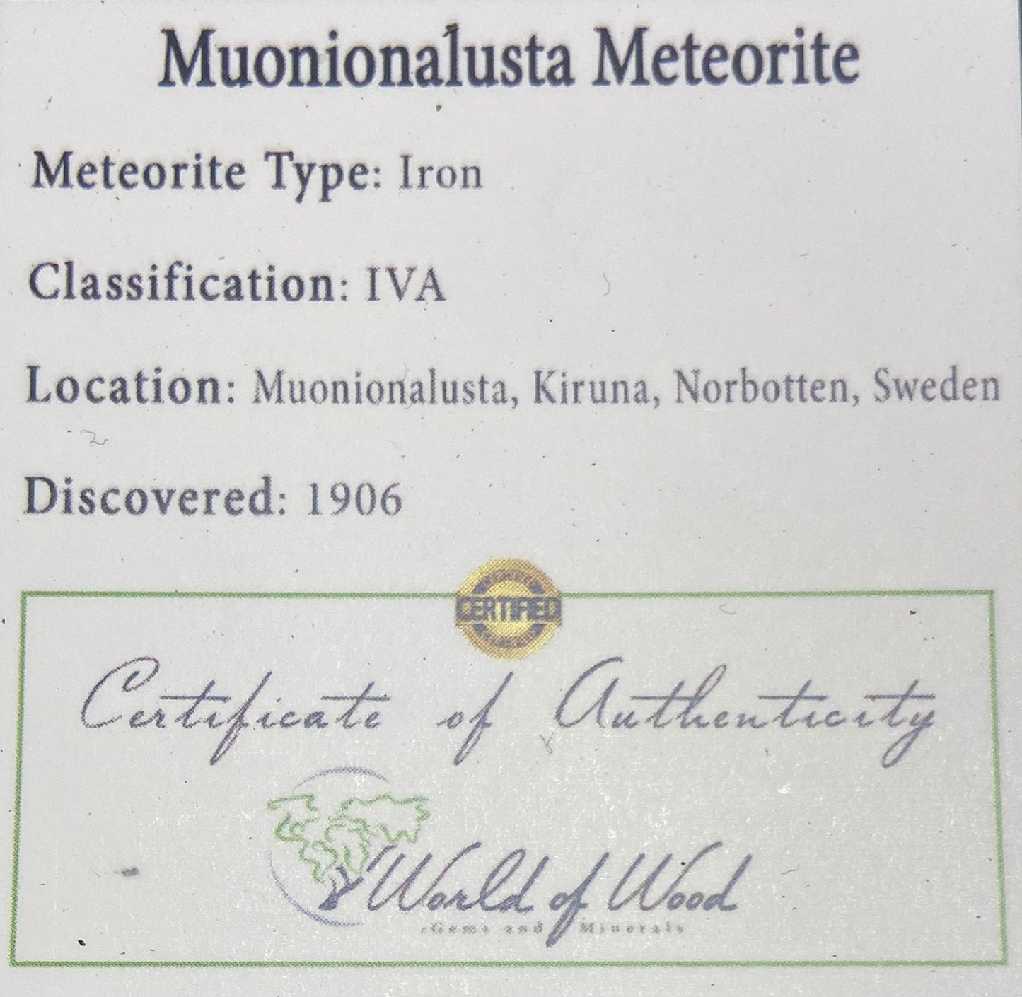 Meteorite inlay ring